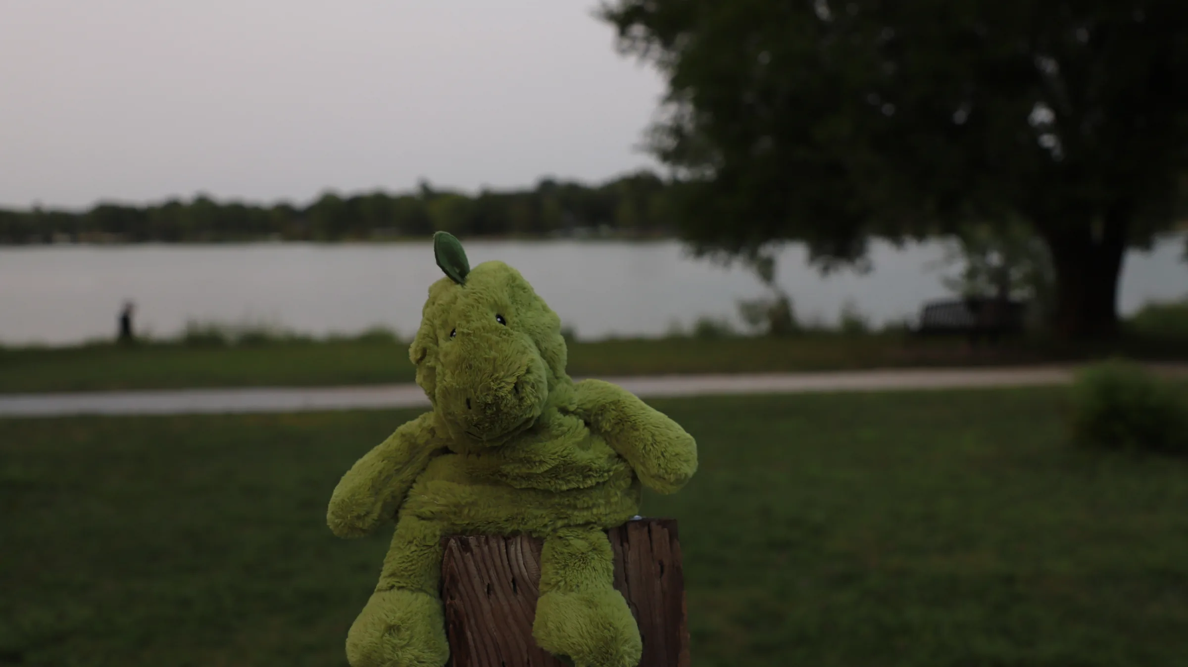 Holmes Lake, Lincoln, NE — frame 2