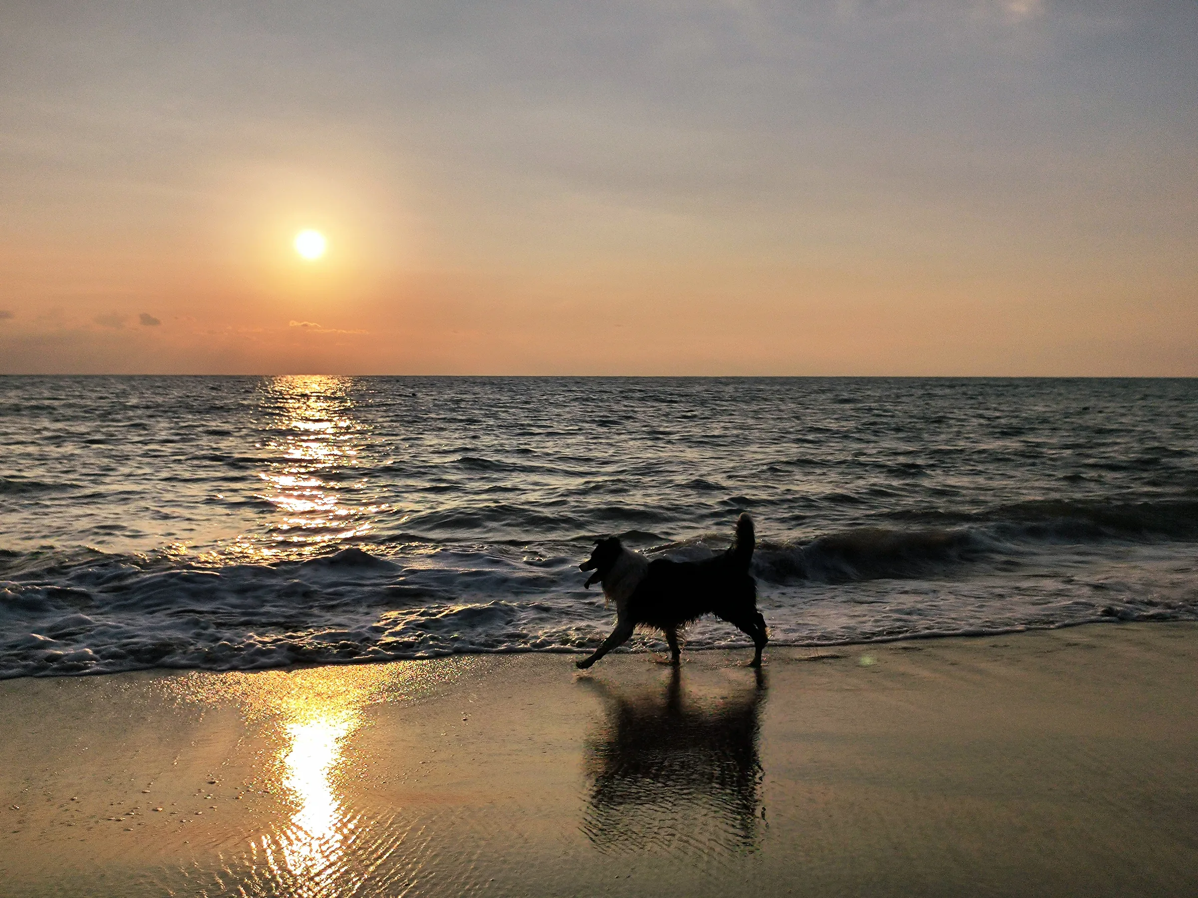 Sanya — frame 2