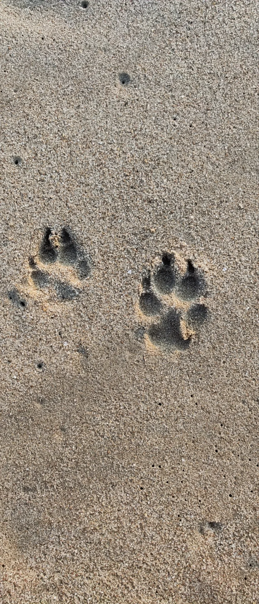 Sanya — frame 3