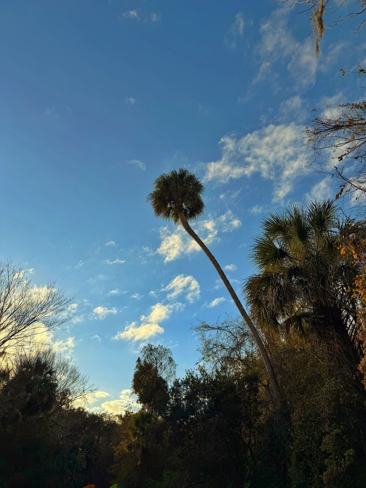 Gainesville, Florida — frame 1